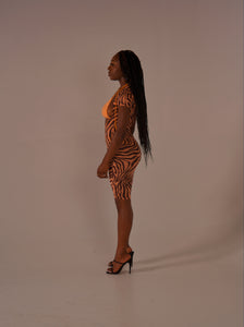 SAFARI in "Sunset"  ( SET )