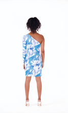 Load image into Gallery viewer, POLAR DRESS 001
